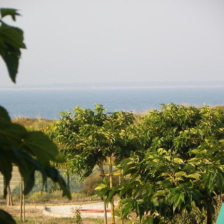 Hotel Au Petit Bonheur La Tranche-sur-Mer Zewnętrze zdjęcie