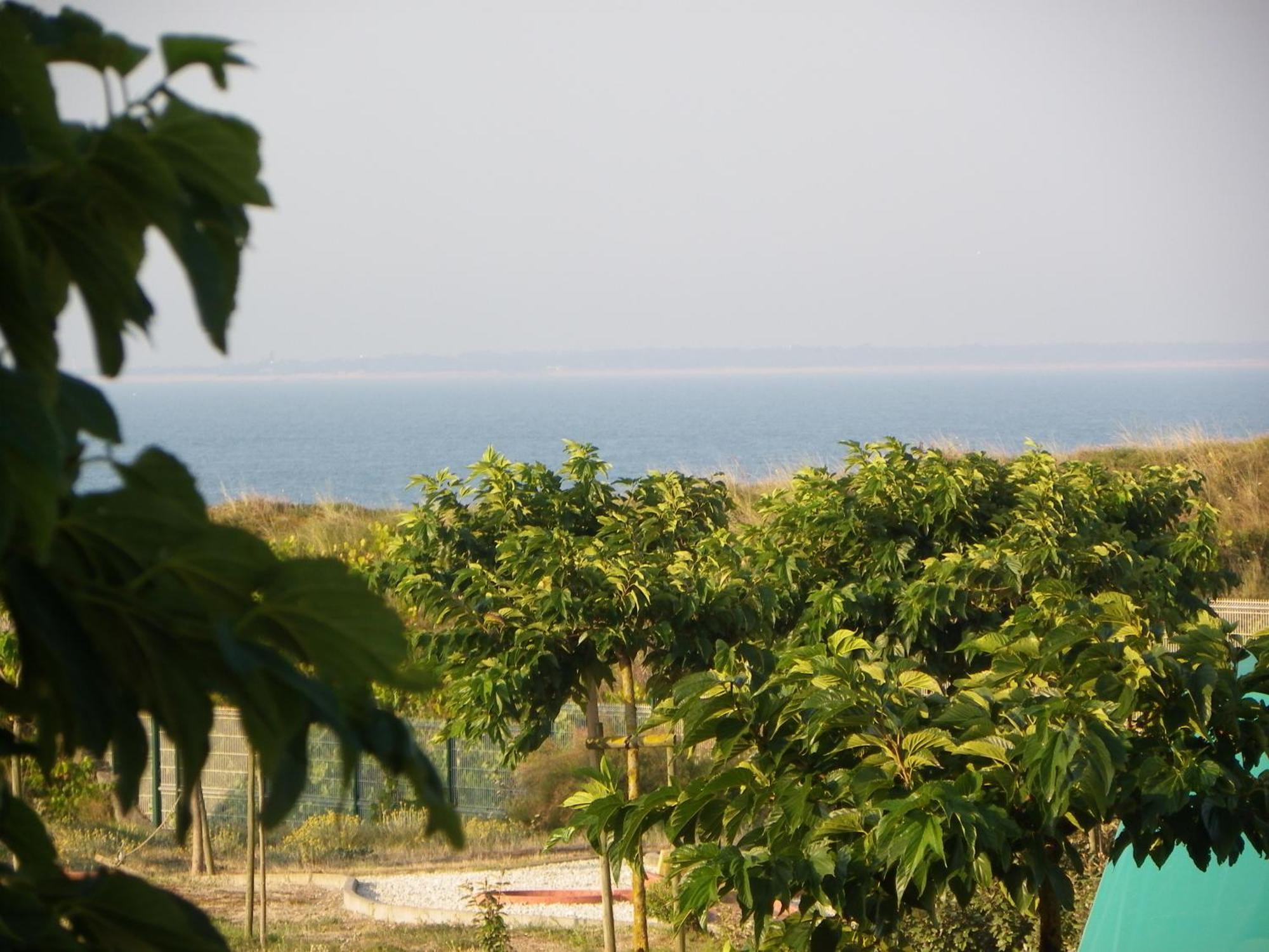 Hotel Au Petit Bonheur La Tranche-sur-Mer Zewnętrze zdjęcie